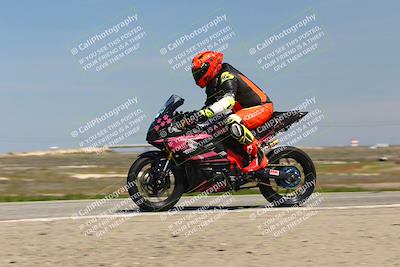 media/Mar-23-2025-TrackDaz (Sun) [[88a7749186]]/B Group/1220pm (Wheelie Bump)/